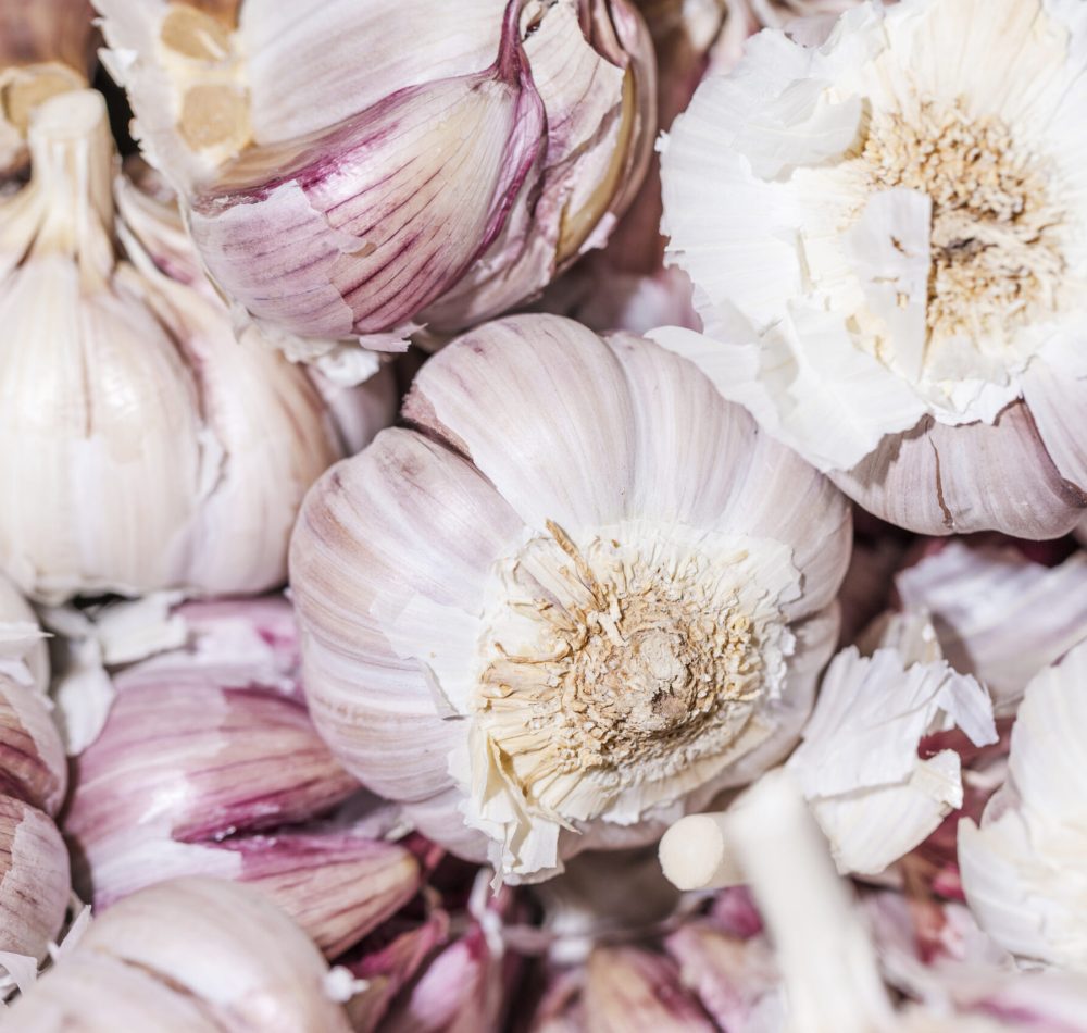 close-up-fresh-garlic-shop